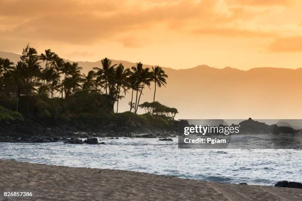 waimea bay beach park oahu hawaii - empty hawaiian beach stock pictures, royalty-free photos & images