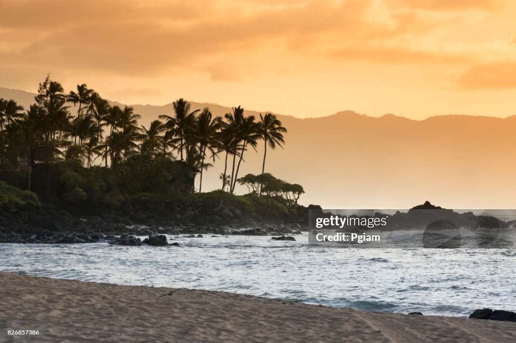 Waimea Bay Beach Park, Oahu Havaí