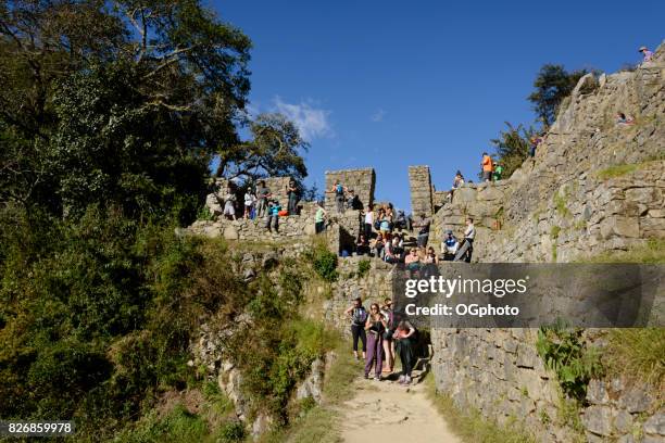 gruppi di turisti alla porta del sole, machu picchu, perù - ogphoto foto e immagini stock