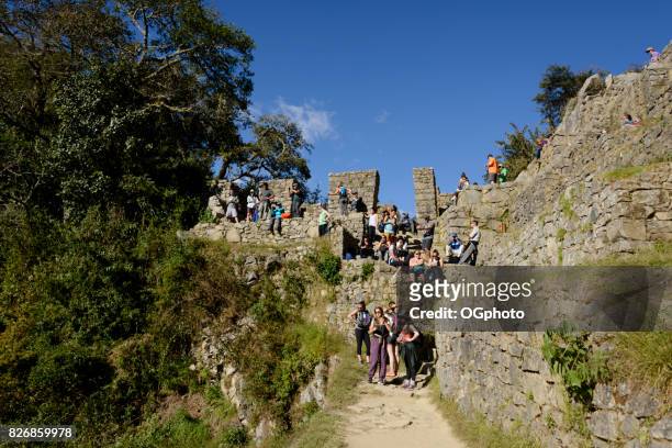 groepen toeristen bij de sun-gate, machu picchu, peru - ogphoto stockfoto's en -beelden