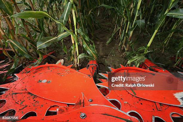 Parked harvester stands in front of corn plants on a field on September 5, 2008 in Ruesselsheim near Darmstadt, Germany. The reaped corn is used in a...