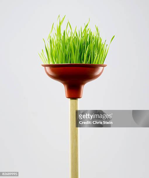 green plunger - plunger stock pictures, royalty-free photos & images