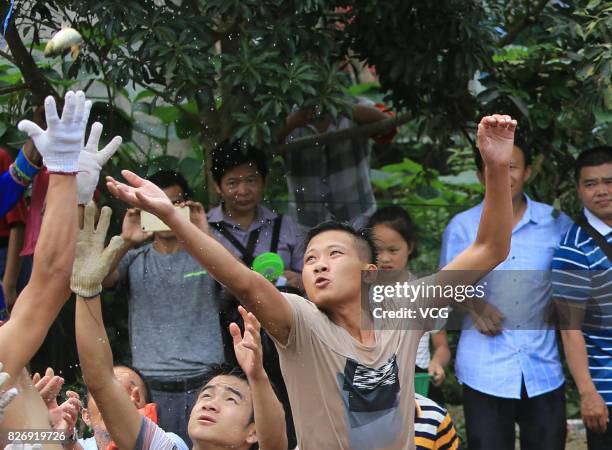 People catch fish in a river during the Naoyu Festivial at Rongshui Miao Autonomous County on August 5, 2017 in Liuzhou, Guangxi Zhuang Autonomous...