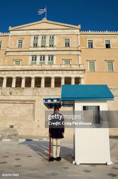 evzone (guard) standing at attention before parliament house. - piazza syntagma stockfoto's en -beelden