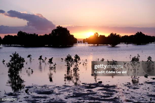 quirimbas archipelago in mozambique - quirimbas archipelago fotografías e imágenes de stock