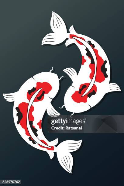 koi fish - koi fish stock illustrations