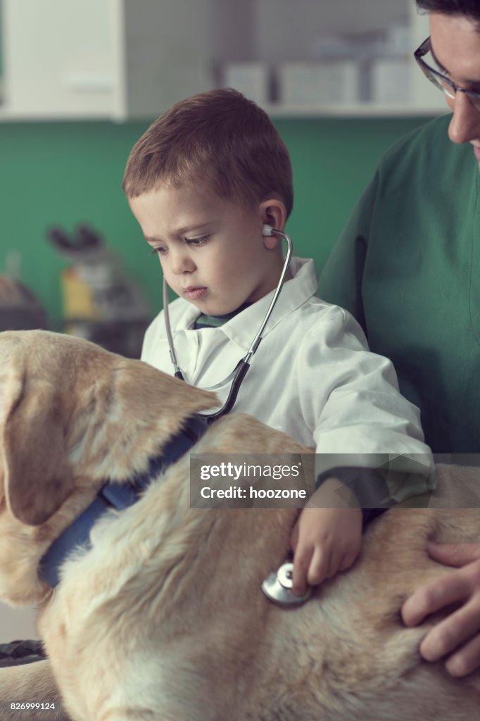 Veterinarian and a Young Boy Examining a Dog Together