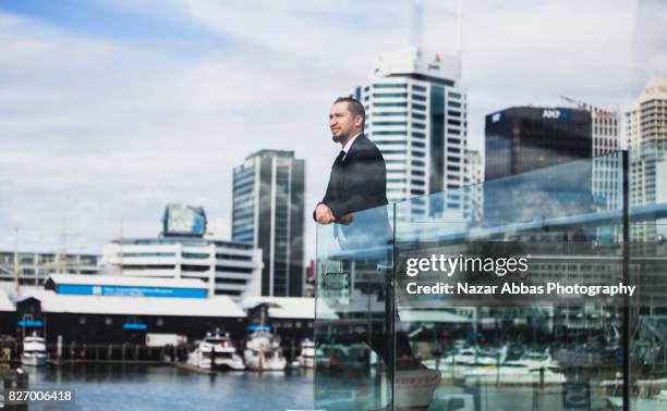 families from new zealand - executive sponsorship stock pictures, royalty-free photos & images