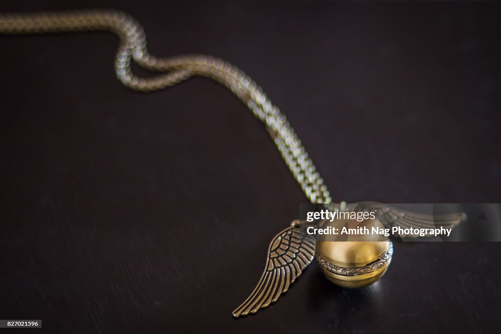 The Golden Snitch
