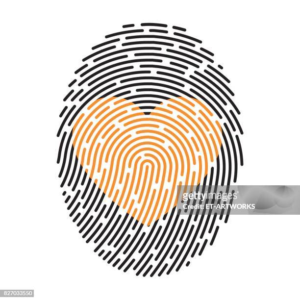 modern fingerprint - menschliches körperteil stock illustrations