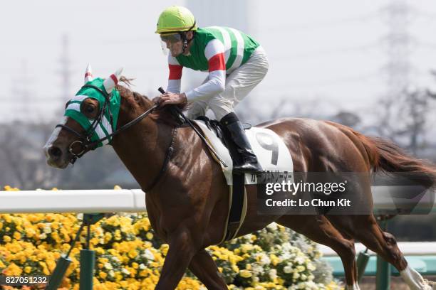 Jockey Andrasch Starke riding Carp Streamer wins the Race 6 at Nakayama Racecourse on March 20, 2016 in Funabashi, Chiba, Japan.