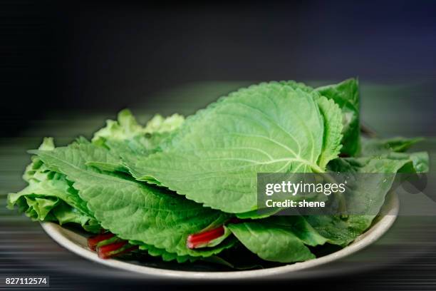 perilla leaves and lettuce - oba oba foto e immagini stock
