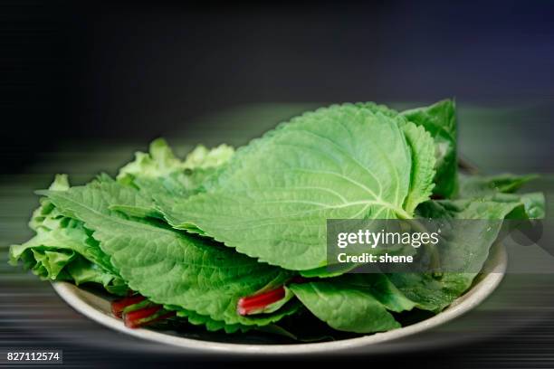 perilla leaves and lettuce - shiso stock pictures, royalty-free photos & images