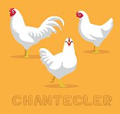 Chicken Chantecler Cartoon Vector Illustration
