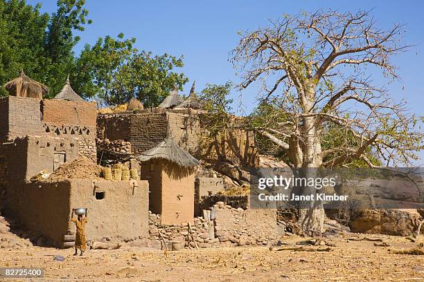 dogon country. - dogon stock pictures, royalty-free photos & images