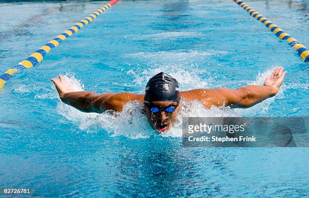swimmer performing butterfly stroke - natación fotografías e imágenes de stock