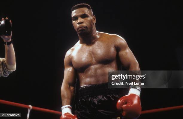 Wbc Heavyweight Champion Photos And Premium High Res Pictures Getty wbc-heavyweight-champion-photos-and-premium-high-res-pictures-getty