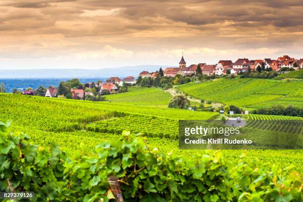 views over vineyards around an ancient village of zellenberg, alsace, france - haut rhin stock-fotos und bilder
