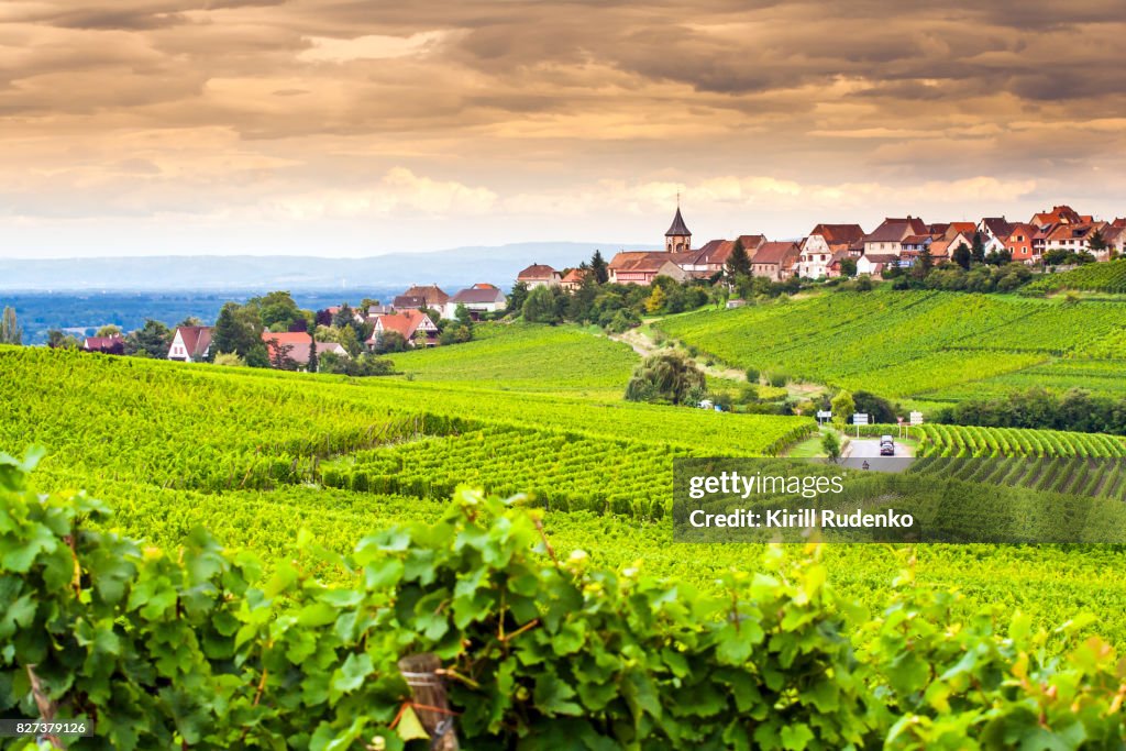 Views over vineyards around an ancient village of Zellenberg, Alsace, France