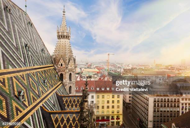 catedral de st. stephen en viena, austria - viena fotografías e imágenes de stock