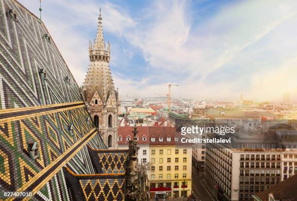 st. stephen cathedral in vienna, austria - vienna stock pictures, royalty-free photos & images
