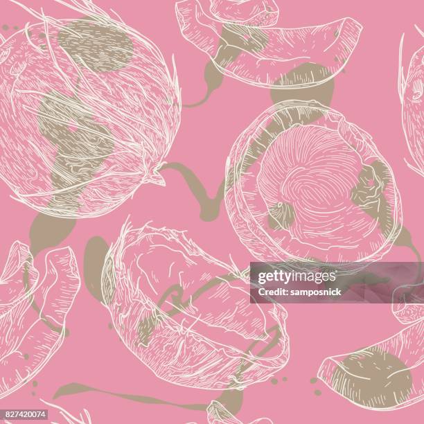crazy for coconuts pattern - coconut splash stock illustrations