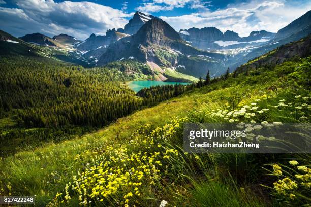 grinnell glacier trail - montana stock pictures, royalty-free photos & images