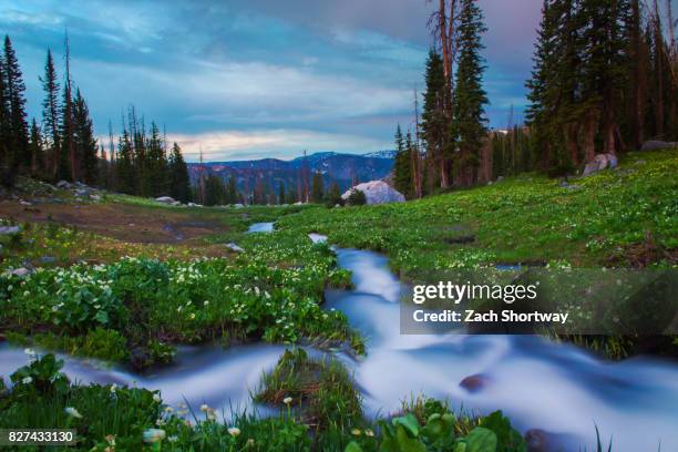 high terrain stream - steamboat springs stock pictures, royalty-free photos & images