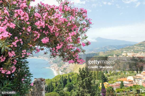 beautiful postcard view with flowers over taormina, sicily - etna stock pictures, royalty-free photos & images