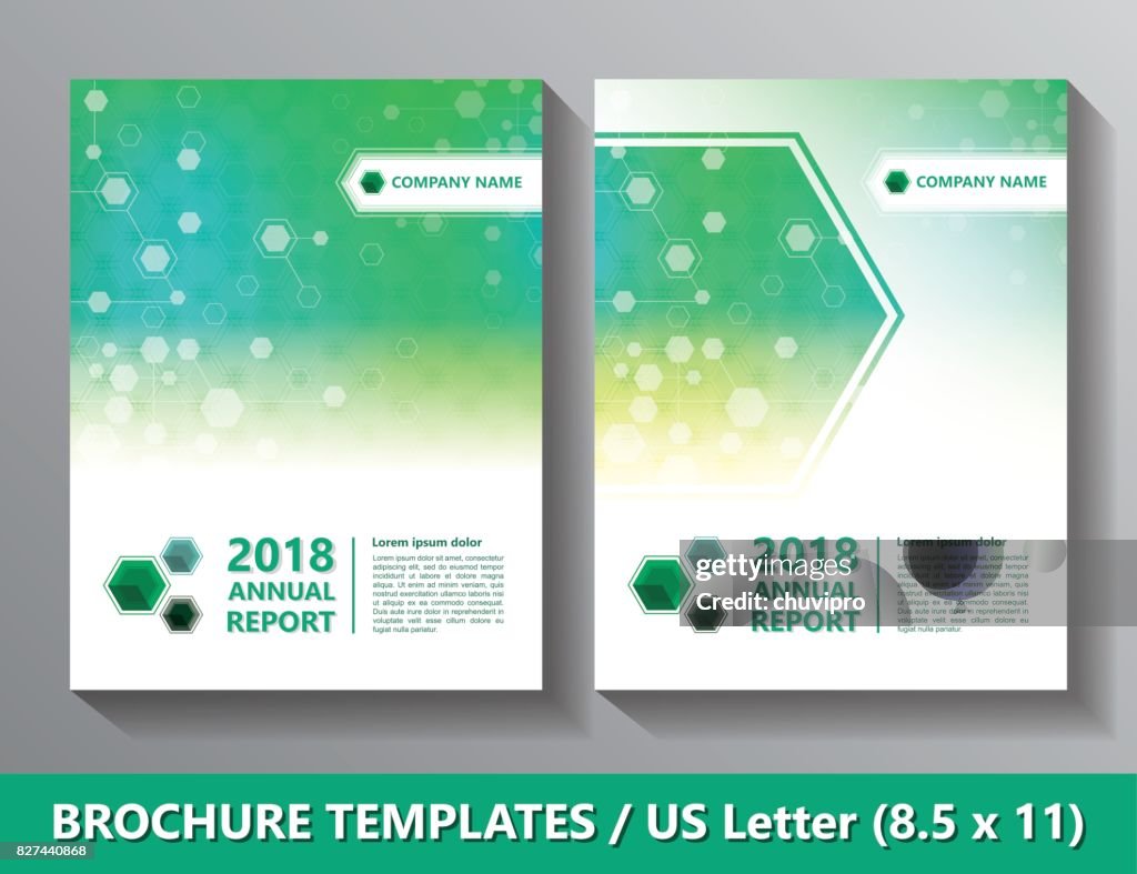 File Front Side Picture Template.pdf Brochures Front Side Templates Us Letter Size Hexagon Scientific And ...