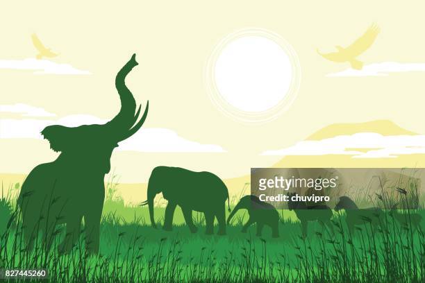 stockillustraties, clipart, cartoons en iconen met afrikaanse safari achtergrond met schreeuwt olifanten, kalveren, zebra's en antilopen - kilimanjaro