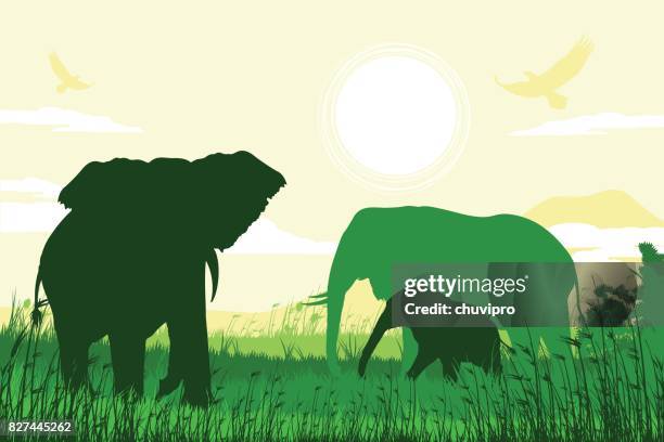 african safari background with elephant family - african elephant calf stock illustrations