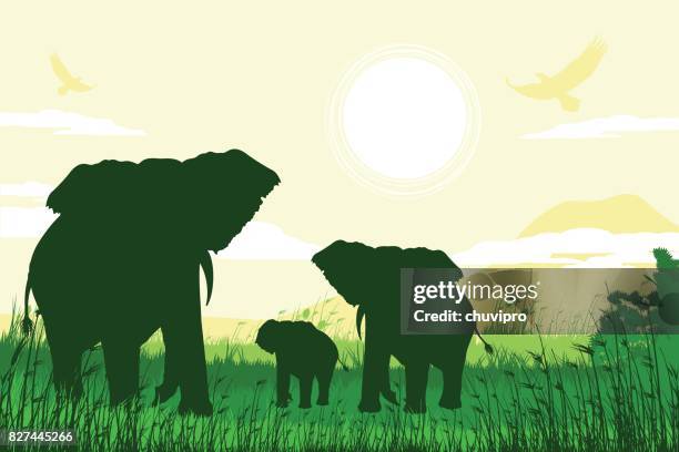 stockillustraties, clipart, cartoons en iconen met afrikaanse safari achtergrond met familie olifant - kilimanjaro