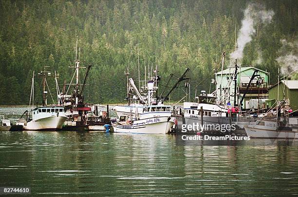 fishing ships at dock - anchored concept stock pictures, royalty-free photos & images