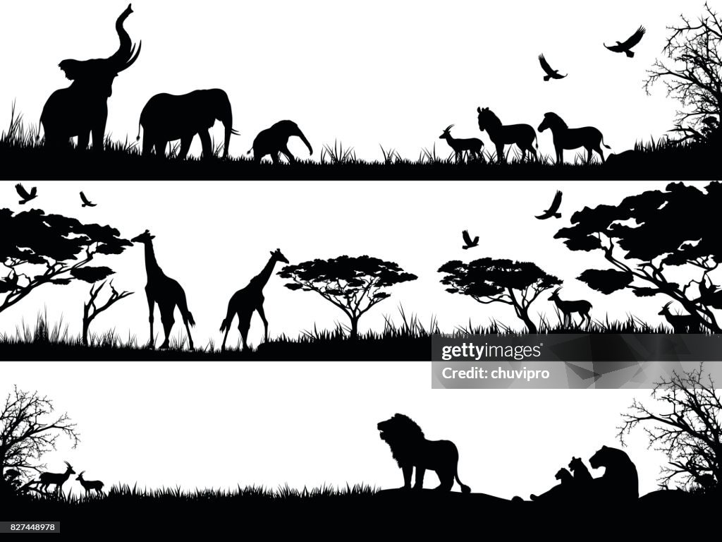 Silhuetas definidas de animais selvagens da Africa em habitats da natureza