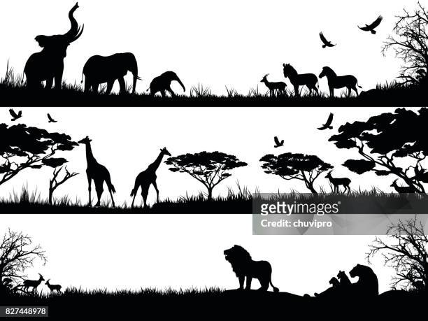 ilustrações, clipart, desenhos animados e ícones de silhuetas definidas de animais selvagens da africa em habitats da natureza - grupo de animais