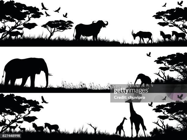 ilustraciones, imágenes clip art, dibujos animados e iconos de stock de conjunto de siluetas de animales salvajes africanos en hábitats de naturaleza - búfalo africano