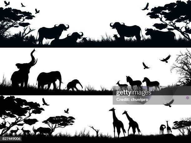 silhouettes set of african wild animals in nature habitats - mammal stock illustrations