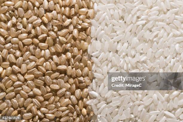 brown rice vs. white rice - naturreis stock-fotos und bilder