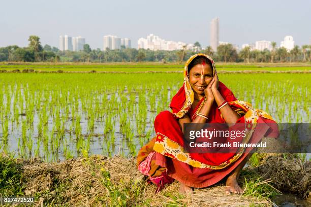 Woman, wearing a sari, is working on a rice field with young rice plants in the rural surroundings of the suburb New Town, new buildings in the...