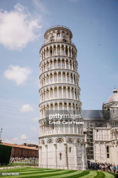 leaning tower of pisa - pisa stock pictures, royalty-free photos & images