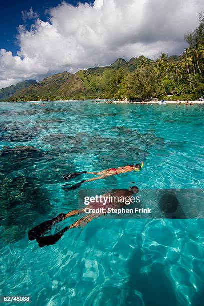 snorkelers float in lagoon, moorea - tahiti stock pictures, royalty-free photos & images