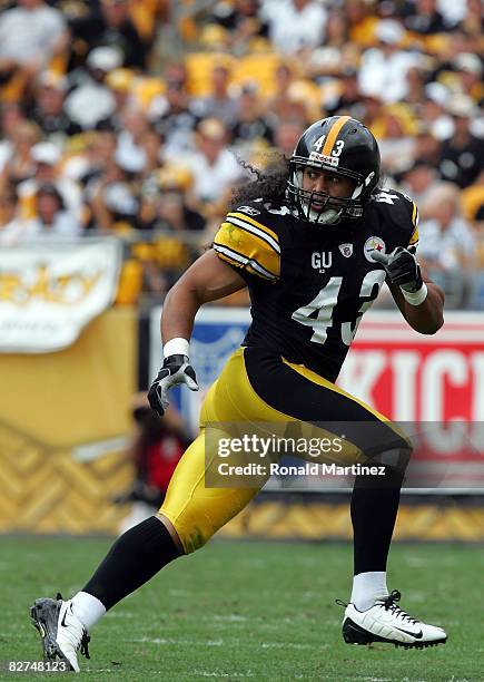 Safety Troy Polamalu of the Pittsburgh Steelers during play against the Houston Texans on September 7, 2008 at Heinz Field in Pittsburgh,...