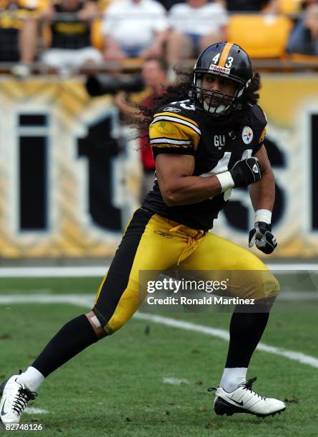 Safety Troy Polamalu of the Pittsburgh Steelers during play against the Houston Texans on September 7, 2008 at Heinz Field in Pittsburgh,...