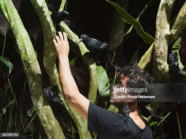 man gathering crows in the forest - las posas foto e immagini stock