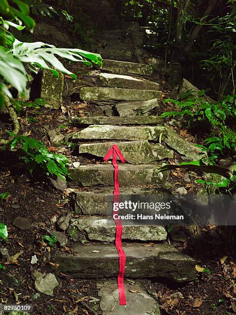 red arrow marking a path - treasure hunt stock pictures, royalty-free photos & images