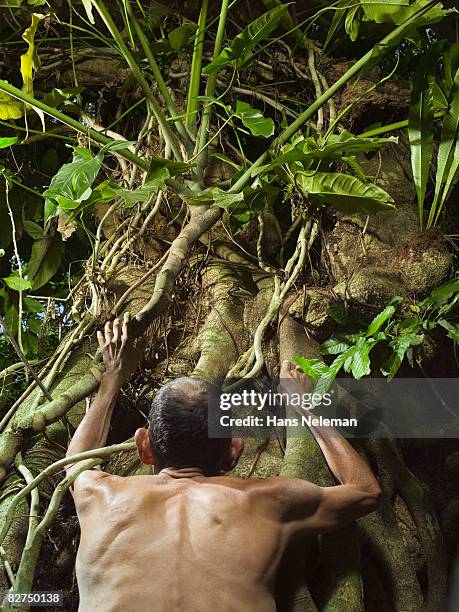 Men Tree Roots 136 Thin Tree Root Stock Photos, High-Res Pictures, and Images - Getty ...