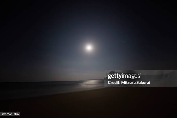 moon - beach night stock pictures, royalty-free photos & images