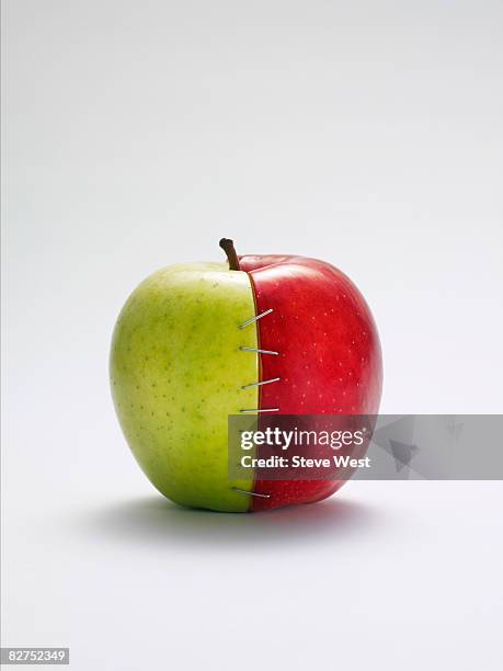 two apple halves joined together with staples - green apple slices stock pictures, royalty-free photos & images