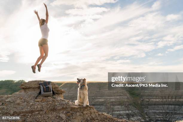 woman arrives with dog on hillside above badlands - alberta badlands stock pictures, royalty-free photos & images